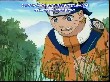 Naruto 026 027 (63).jpg